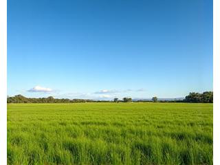 Expansive green land plot with distant hills